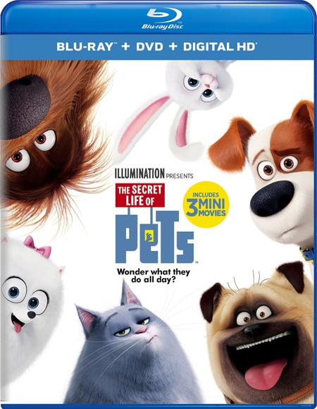 انیمیشن The Secret Life of Pets 2016 سه بعدی The secret life of pets